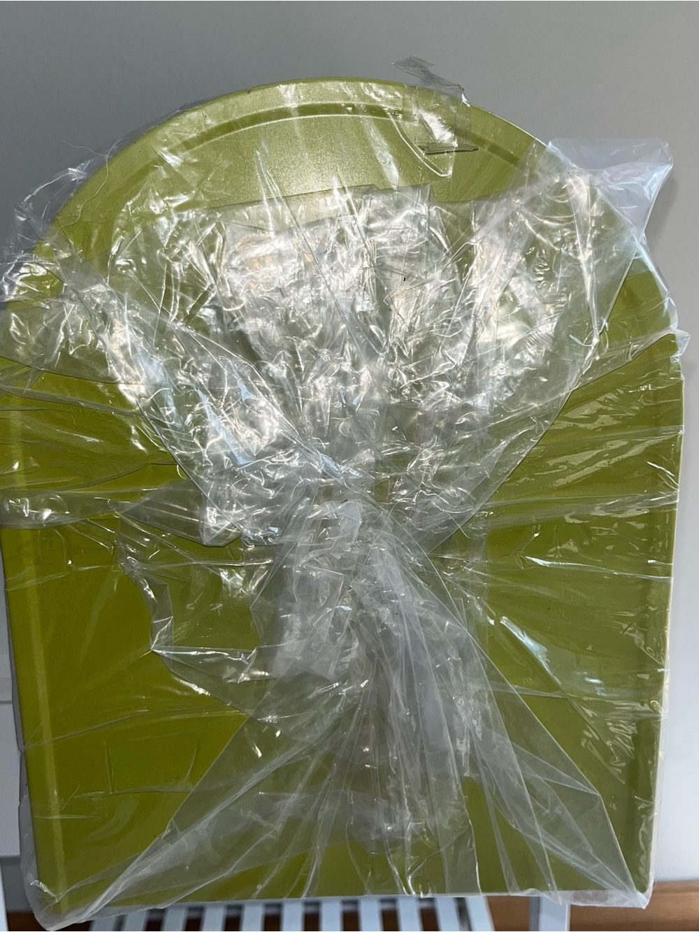 Mackenzie-Childs NIB Courtly Check Mail Box SOLDOUT USPS Ready Black Chartreuse - Picture 4 of 11